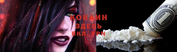 прущие крисы Алзамай