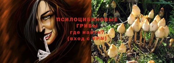 прущие крисы Алзамай
