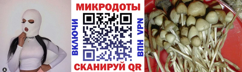 Псилоцибиновые грибы GOLDEN TEACHER  Углегорск 